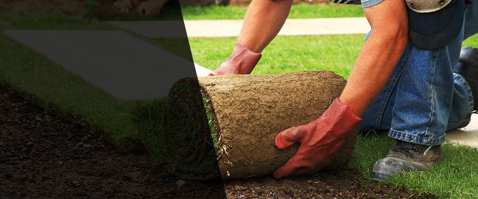 La Vista Landscapers